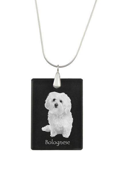 Art - Dog Colier cu pandantiv de cristal Art-Dog pe lanț placat cu argint, mo...