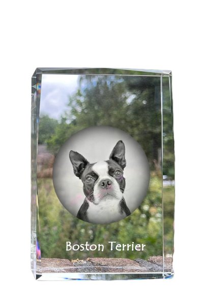 Art - Dog Art-Dog Cristal Mare cu Margini Decorative Boston Terrier cu Gravur...