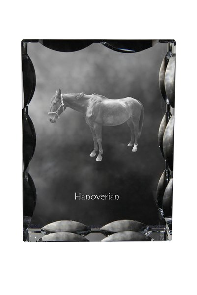 Art - Dog Art-Dog Cristal dreptunghiular cu margini decorative, cal Hanoveria...