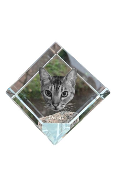 Art - Dog Prespapier Cub de Cristal Art-Dog, Ocicat cu Gravură Pisică - Crist...