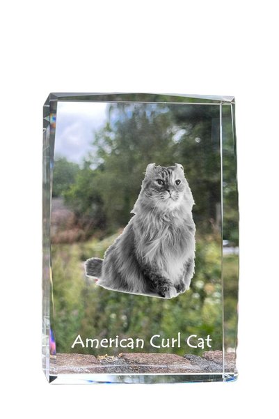 Art - Dog Art-Dog Cristal Mare cu Margini Decorative American Curl cu Gravură...