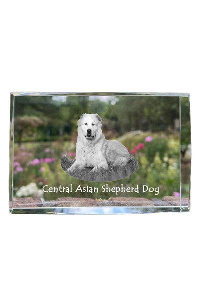 Art - Dog Art-Dog Cristal Mare cu Margini Decorative, Câine Pastor Central-As...