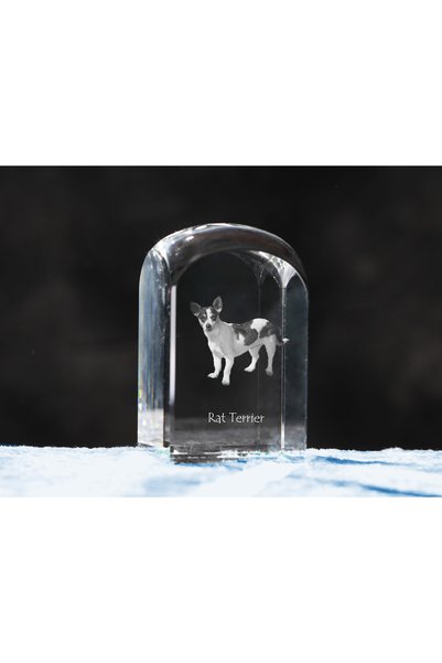 Art - Dog Prespapier de cristal Art-Dog Rat Terrier cu gravură de câine - Cri...