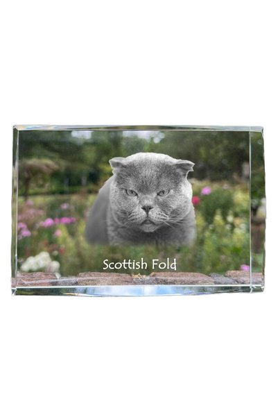 Art - Dog Art-Dog Cristal Mare cu Margini Decorative Scottish Fold cu Gravură...