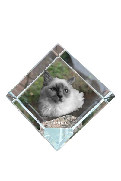 Art - Dog Prespapier cub de cristal Art-Dog, pisică birmană cu gravură de pis...