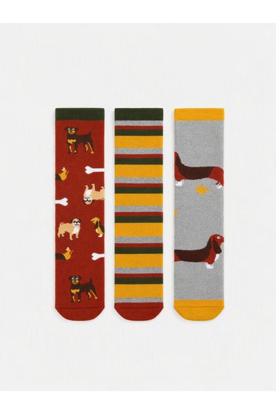LC Waikiki Rmz Gi̇yi̇m Farkiyla 3-Pack Embroidered Boys' Socks
