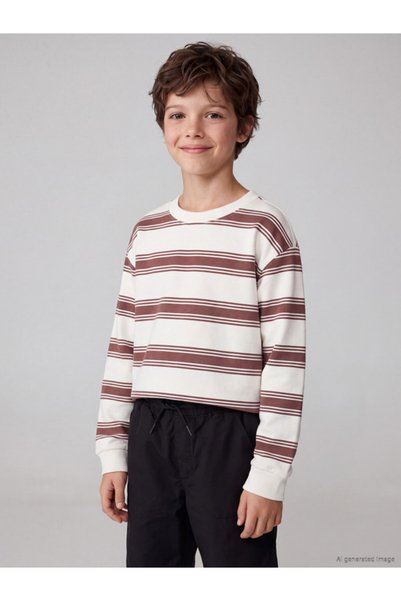 LC Waikiki Rmz Gi̇yi̇m Farkiyla Striped Boys' Thick Sweatshirt