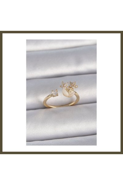 northcity n Gold-Tone Rice-Style Adjustable Star-Shaped Women's Ring with Zir...