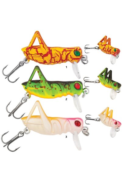Baracuda Momeala insecta tip "C"