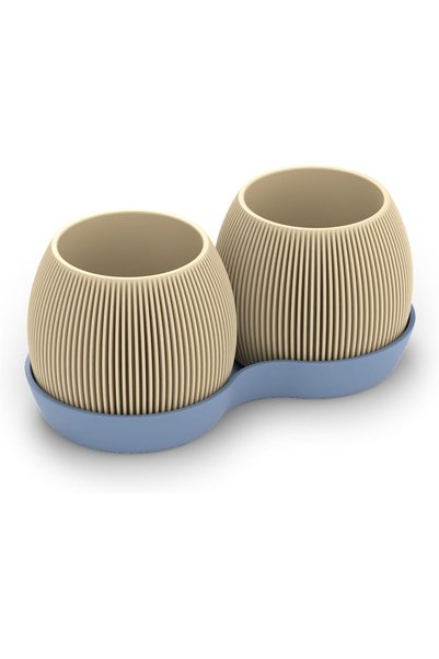 Generic Duo Planter Set with Shared Drip Tray, Cacti and Small Indoor Plants,...