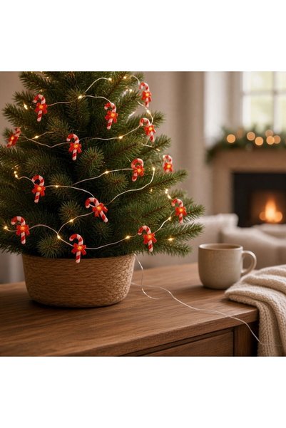Ornament24 Ghirlanda luminoasa de Craciun, instalatie cu 20 mini LED-uri alb ...