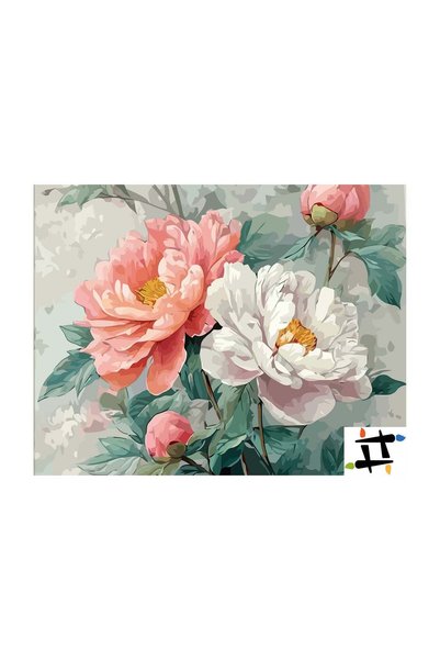 Painting-numbers Set pictura pe numere Bujori Alb si Roz 6519, panza pe rama ...