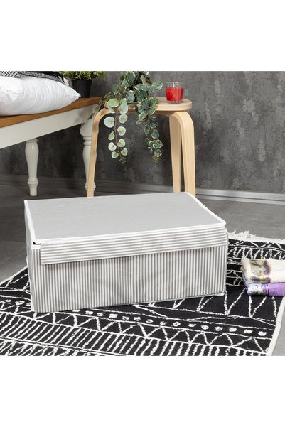 HeliosStar Çok Amaçlı Düzenleyici Kapaklı Sandık Tipi Kutu Hurç Organizer (50 x 40 x 19, Gri)