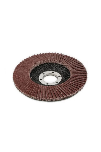 Generic SET OF 10 BROWN FLAP DISCS 125 P100