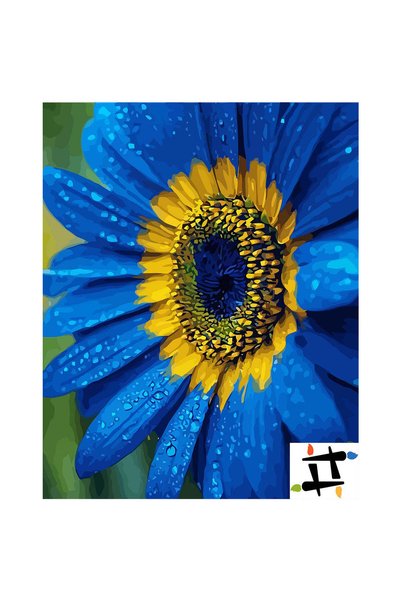 Painting-numbers Set pictura pe numere Floarea Albastra 6495, panza pe rama l...