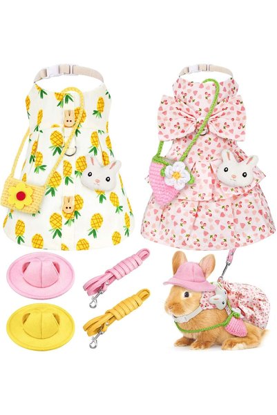 KASTWAVE Pet Bunny Dress Costume Set, Easter Outfit with Leash, Hat, Mini Bag...