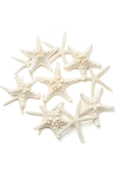 ELECDON Starfish Decor Natural Bulk Starfish Shells Perfect for Crafts Making...