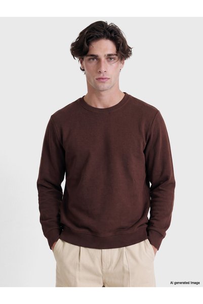 LC Waikiki Crew Neck Men's Knit Sweatshirt