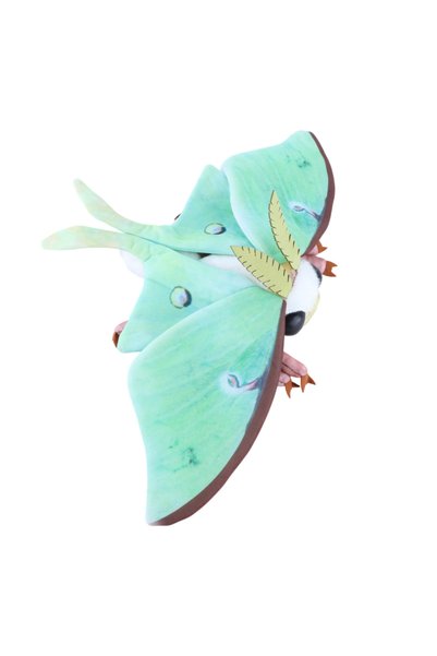 Choice B 25cm Cute Luna Moth and Rosy Maple Moth Plush Toys Soft Realistic St...