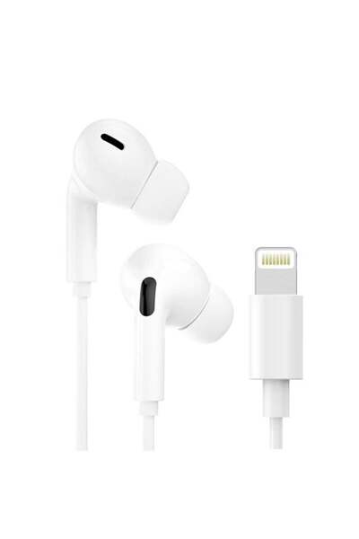 The Capybara Store Third-party earphones with a microphone, compatible with t...