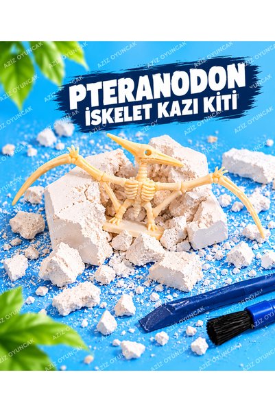 AZİZ OYUNCAK 🍀 Pteranodon Dinosaur Skeleton Fossil Type Archaeological Dig K...