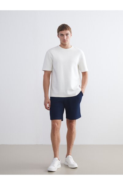 LC Waikiki Timeless Clothing & Timeless Choices Standardfit Men's Shorts