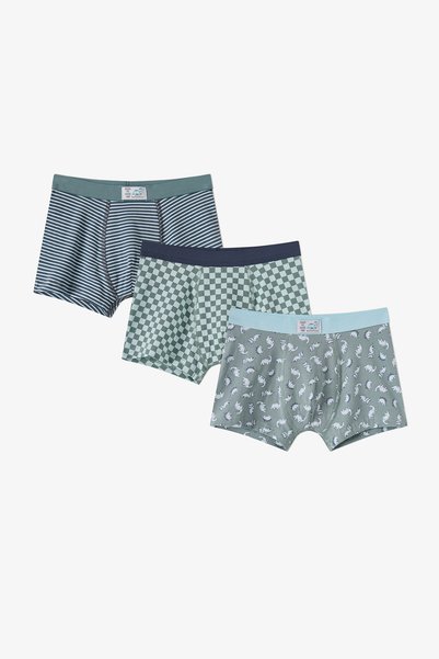Penti Erkek Çocuk Mavi Dino Dash Pamuklu 3'lü Boxer