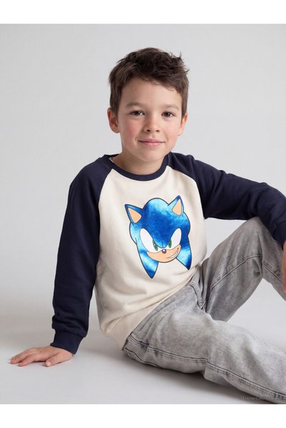LC Waikiki I Sonic Printed Boys' Thick Sweatshirt from Freezen Store