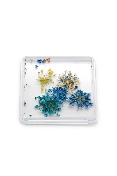 global fashion Nail art, dried flowers D29