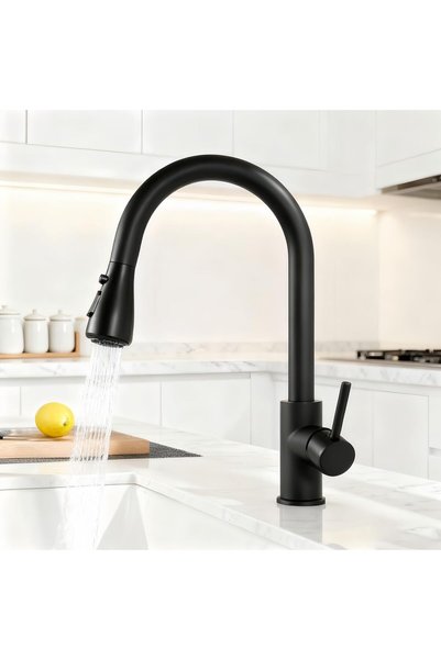GENERAL Kitchen Faucets,Kitchen Tap with Pull Out Sprayer,Swivel Single Handl...