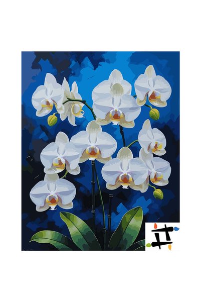 Painting-numbers Set pictura pe numere Orhidee de portelan 6820, panza pe ram...