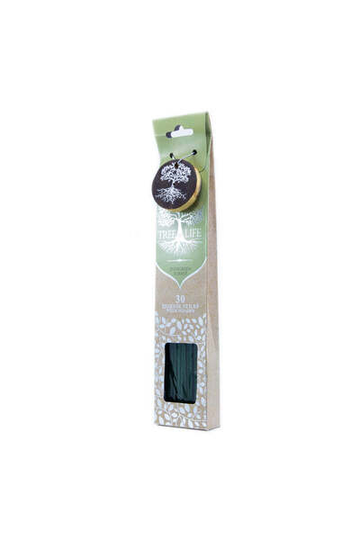 Bobo Scented Incense Sticks with Holder, 30 pcs, Evergreen Forest - Tree Of Life