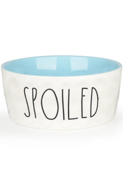 GENERAL 30OZ Ceramic Dog Bowl - 6'' Extra Large Food Water Dog Bowl, Heavy Du...