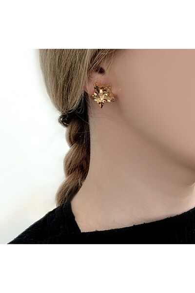 unbranded 5303F Γυναικεία Σκουλαρίκια CATHERINE BIJOUX Shining stars small ea...