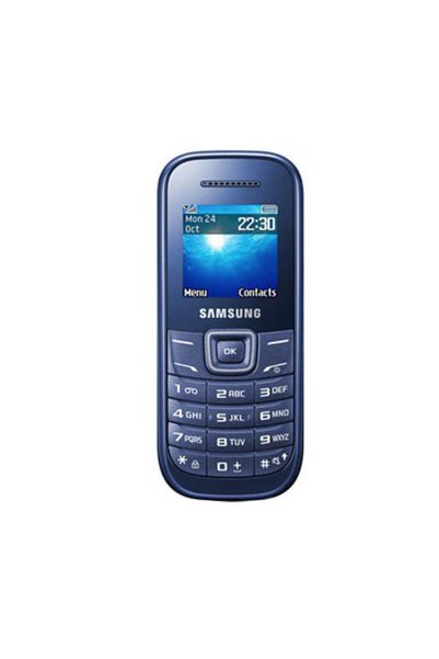 Samsung Telefon mobil E1207, Dual SIM, Albastru
