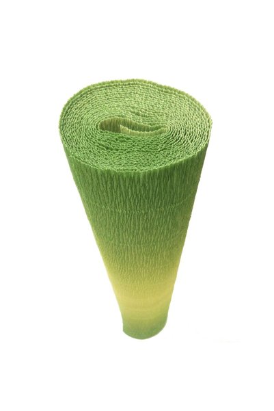 Cartotecnica Rossi Hartie creponata elastica floristica 180gr - Yellow - Gree...