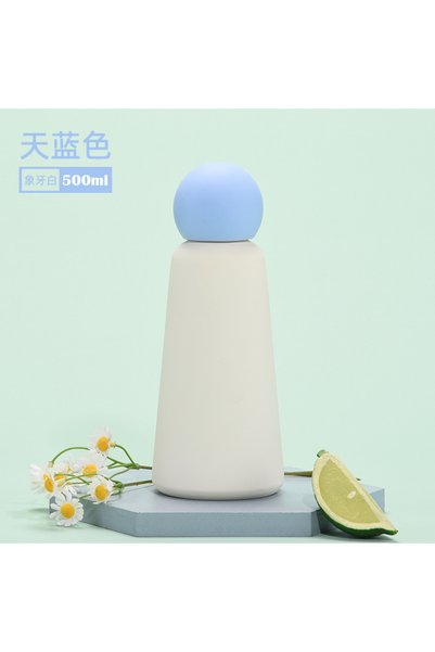 Generic 304 Stainless Steel Insulated Water Bottle 500ml for Kids Students Ou...