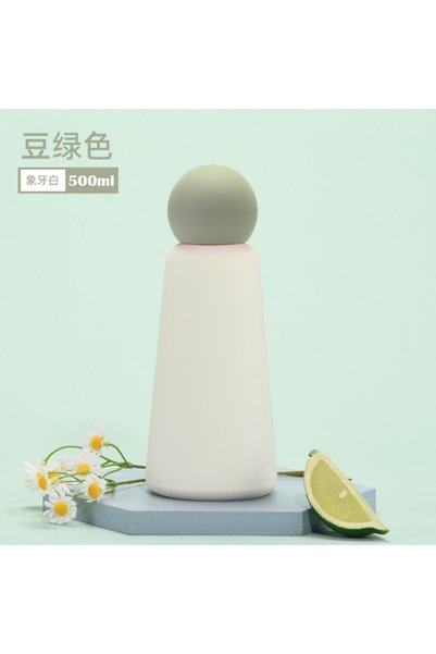 Generic 304 Stainless Steel Insulated Water Bottle 500ml for Kids Students Ou...