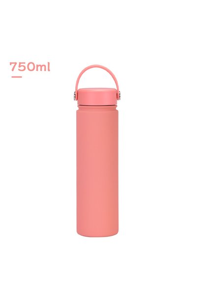Generic Stainless Steel Wide Mouth Insulated Sports Water Bottle 750ml Handle...