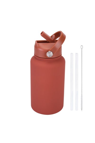 Generic Stainless Steel Insulated Sports Bottle 650ml Wide Mouth Handle Straw