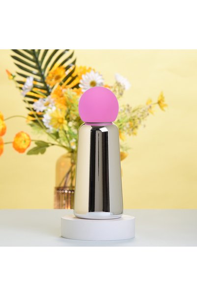 Generic Electroplated 304 Stainless Steel Insulated Water Bottle 350ml for Ki...