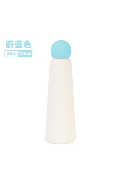 Generic 304 Stainless Steel Insulated Water Bottle 750ml for Kids Students Ou...