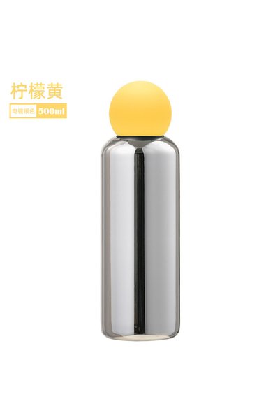 Generic 316 Stainless Steel Electroplated Insulated Water Bottle 500ml for St...
