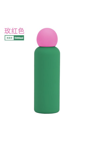 Generic 316 Stainless Steel Insulated Water Bottle 500ml for Kids Outdoor Sports