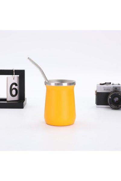 Generic Mini 304 Stainless Steel Insulated Straw Tumbler, Double Wall Vacuum ...