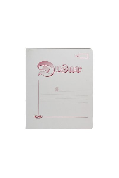 OEM Set de 100 de dosare simple
