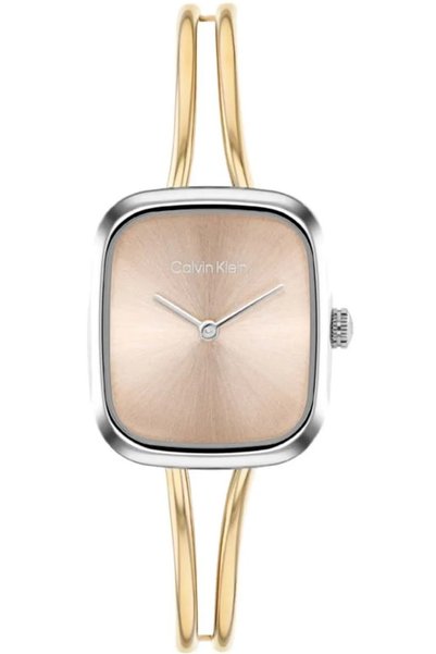 Calvin Klein Ck25100134 Kadın Kol Saati
