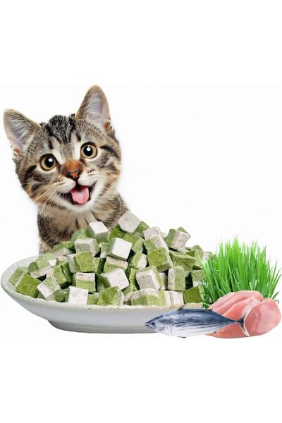 ANYUAN Cat Toy Grass Treats,Freeze DriedCat Grass Treats with Fish Oil Blend ...