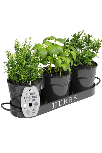 Barnyard Designs Farmhouse Herb Garden Planter Indoor Planter Set with Tray o...