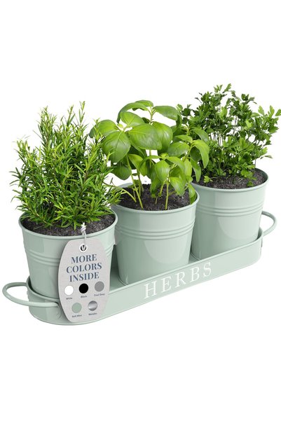 Barnyard Designs Farmhouse Herb Garden Planter Indoor Planter Set with Tray o...